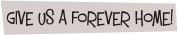 Give Us a Forever Home