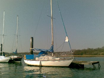 Hurley Hurley 22