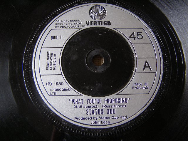 Preview of the first image of Vinyl - Status Quo - What you're proposing (Incl P&P).