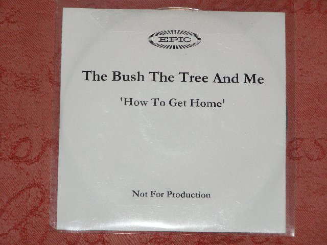 Preview of the first image of CD by The Bush, The Tree and me - How to get home.