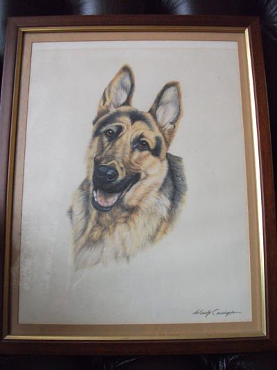 Preview of the first image of ORIGINAL SIGNED FRAMED GERMAN SHEPHERD ALSATIAN DOG PICTURE.