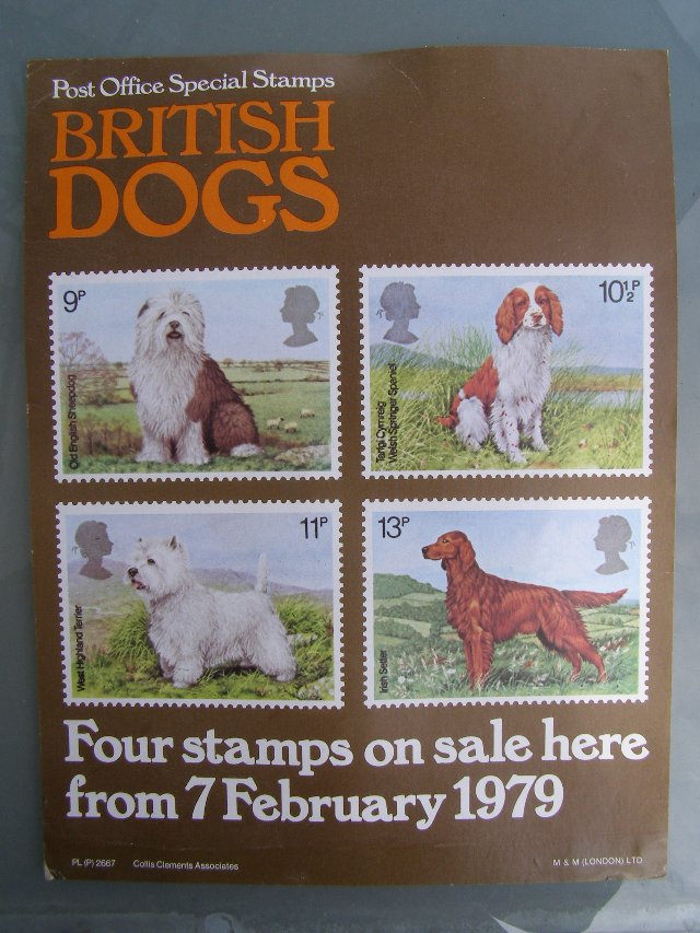 Preview of the first image of 1979 British Dogs advertisement (Incl. P&P).