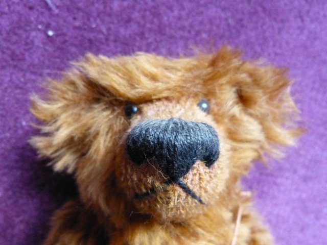Image 3 of Collectable teddy bear