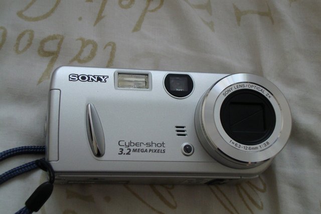 Preview of the first image of Sony camera.