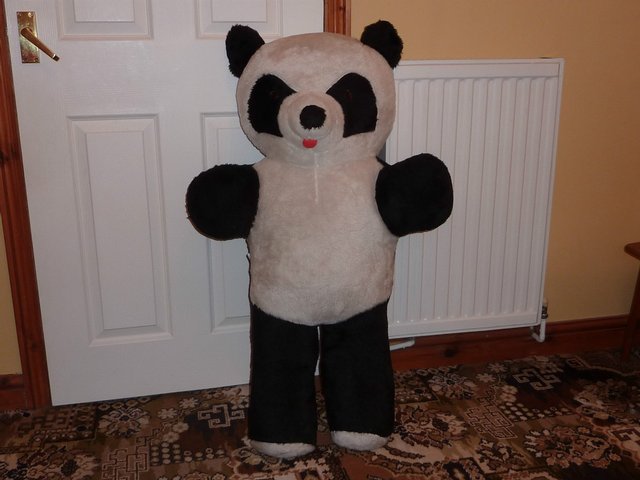 Preview of the first image of Giant Panda.