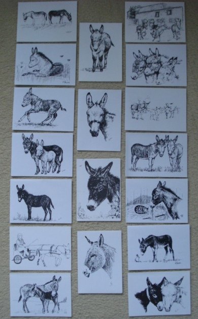 Image 2 of NEW 5 x DONKEY SANCTUARY CHARITY GREETING CARDS/NOTELETS