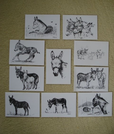 Image 3 of NEW 5 x DONKEY SANCTUARY CHARITY GREETING CARDS/NOTELETS