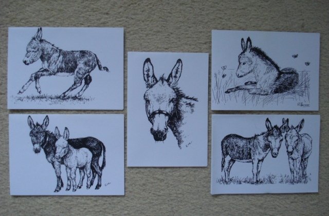 Preview of the first image of NEW 5 x DONKEY SANCTUARY CHARITY GREETING CARDS/NOTELETS.