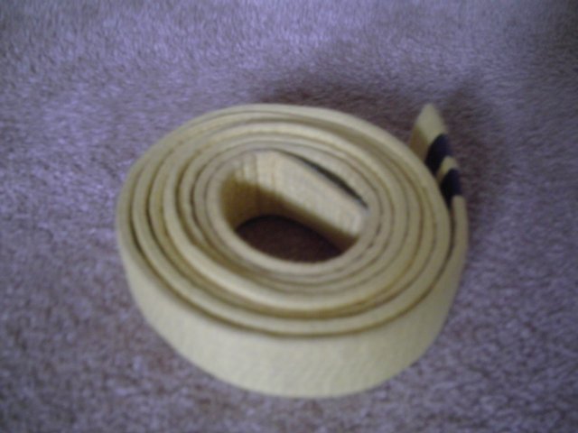 Image 3 of Martial arts belts.