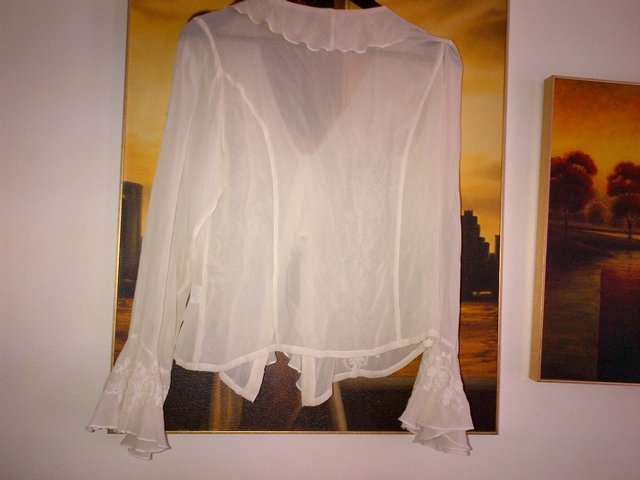 Image 2 of Kaliko silk white cream top blouse with embroideries Size 10