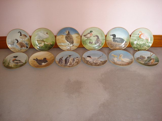 Image 2 of Complete Set of Waterbird Plates (12)