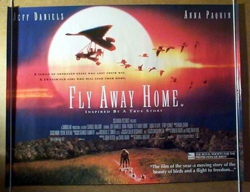 Preview of the first image of FLY AWAY HOME (1996) Original Cinema Quad Movie Poster.