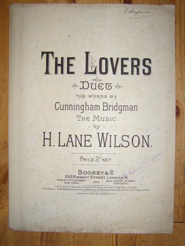 Preview of the first image of The Lovers - Bridgman / Wilson (Incl P&P).