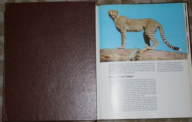 Preview of the first image of World of Wildlife in binders, excellent condition..