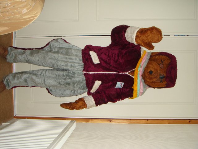 Preview of the first image of Biggles Bear.