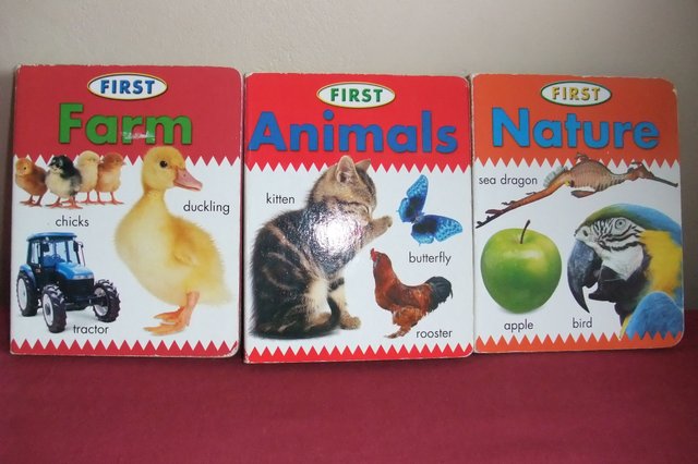 Preview of the first image of FIRST Board Books.
