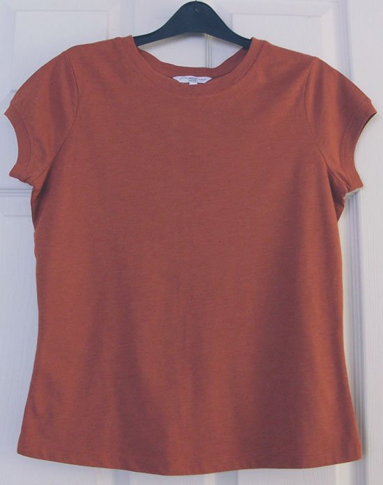 Preview of the first image of GORGEOUS LADIES PAPRIKA T SHIRT BY NEW LOOK - SZ 14 B13.