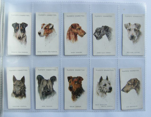 Preview of the first image of DOGS - CIGARETTE CARDS BY JOHN PLAYER & SONS.