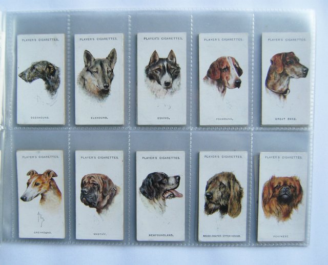 Image 2 of DOGS - CIGARETTE CARDS BY JOHN PLAYER & SONS