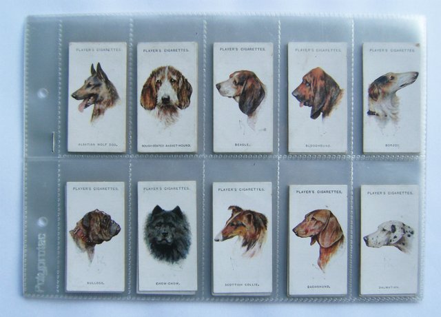 Image 3 of DOGS - CIGARETTE CARDS BY JOHN PLAYER & SONS