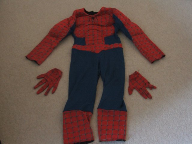 Image 3 of Spider man reversible outfit
