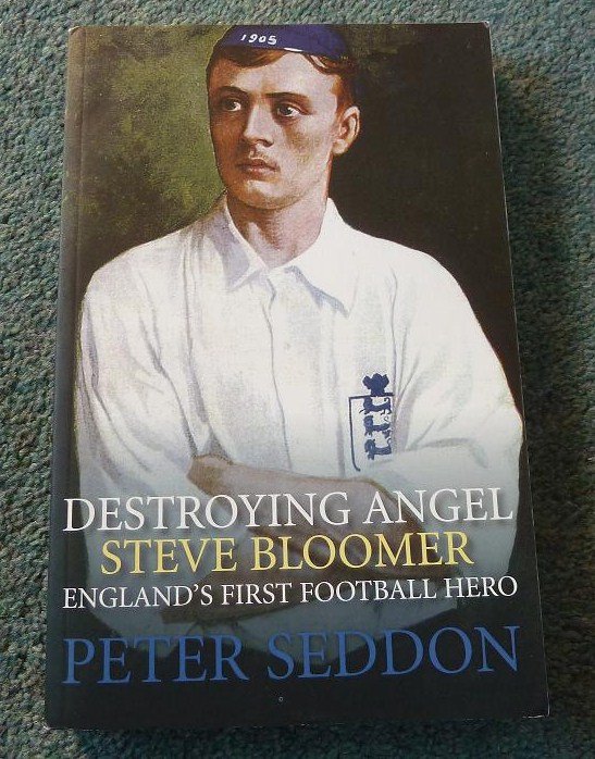 Preview of the first image of Book - Destroying Angel Steve Bloomer, by Peter Seddon - new.