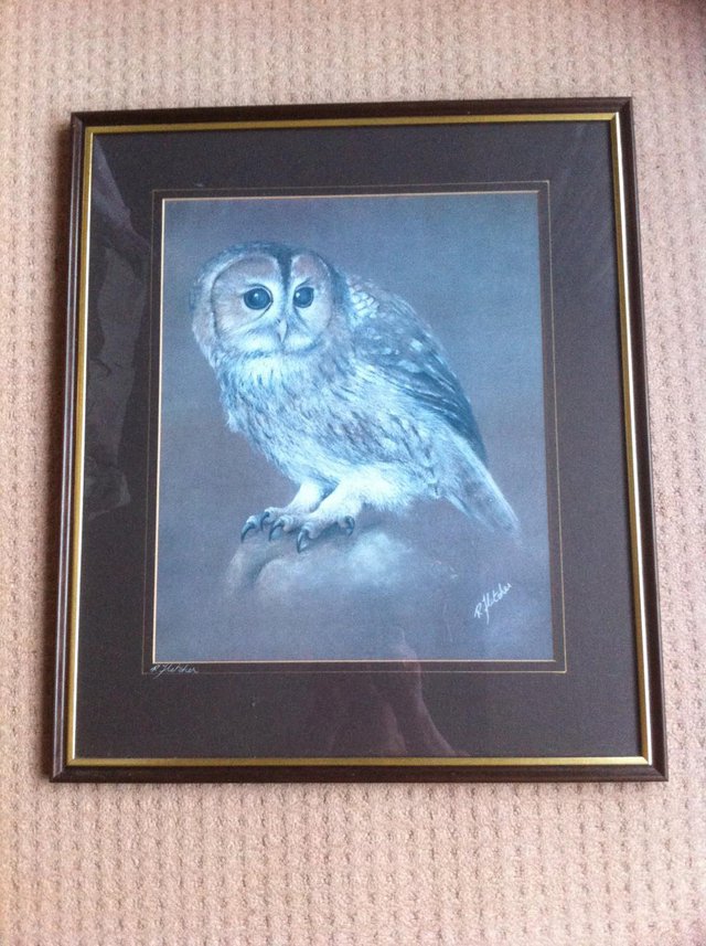 Preview of the first image of Painting - Tawny Owl.