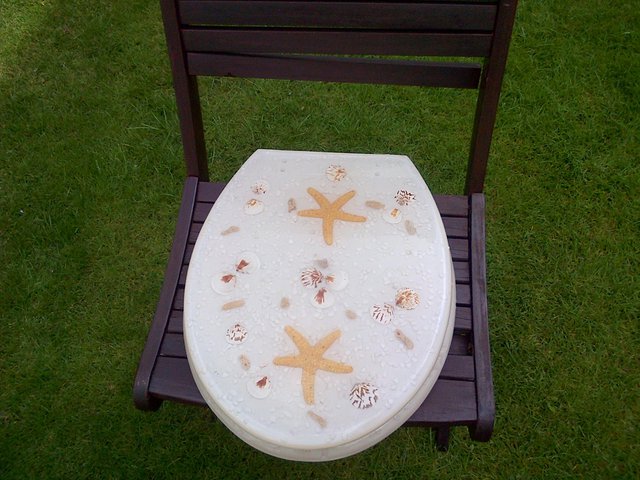 Image 2 of Resin Toilet Seat