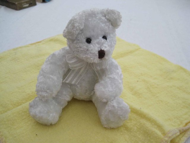 Image 2 of White Teddy