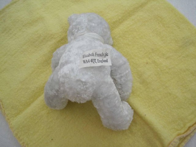Image 3 of White Teddy