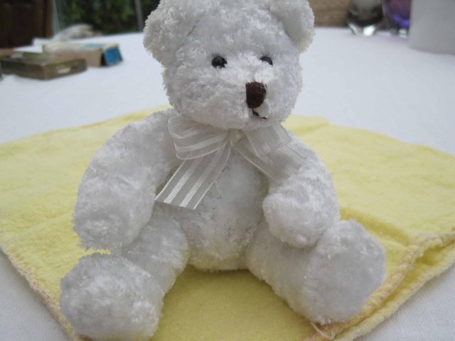 Preview of the first image of White Teddy.