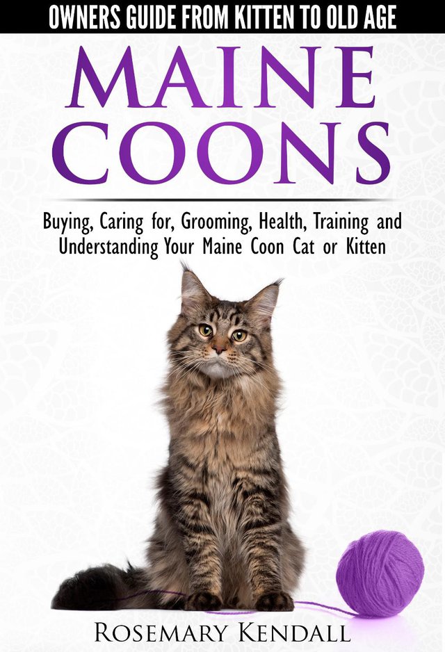 Preview of the first image of Maine Coon Cats - The No. 1 Best-Selling Owners Guide....