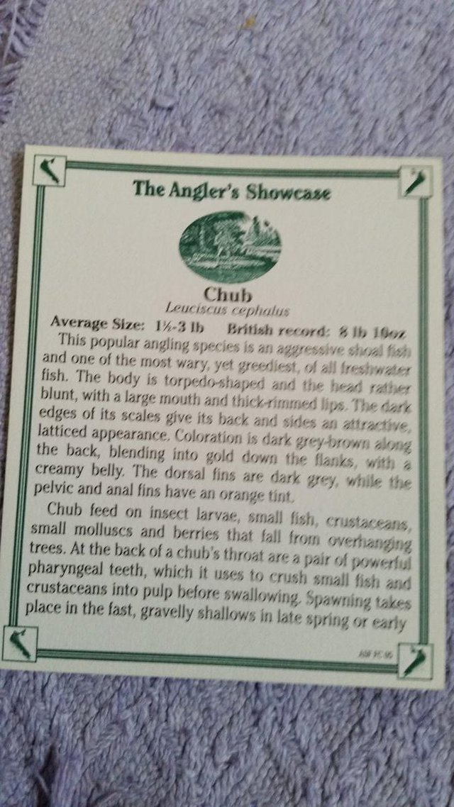 Image 2 of Danbury Mint Anglers Showcase