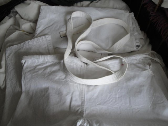 Image 3 of Adults Judo Suit - Used but in Good Condition