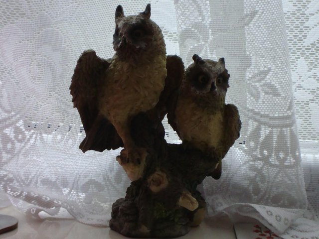 Image 2 of Owls