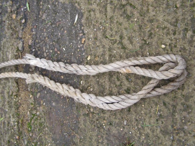 Image 3 of Rope x 2 pieces