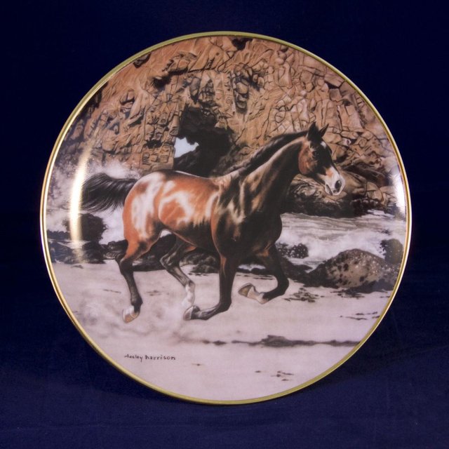 Image 3 of Danbury Mint Horse Plates