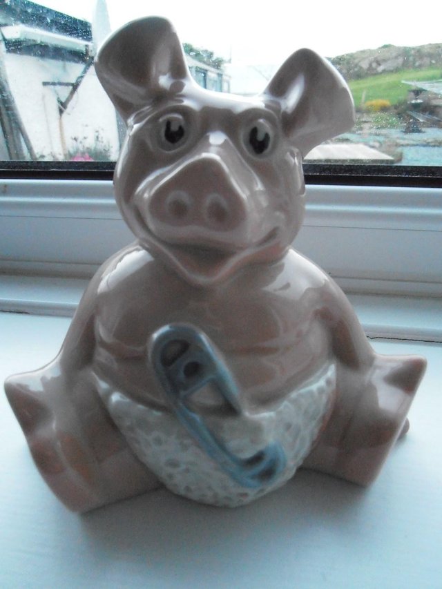 Preview of the first image of Nat West Pig.