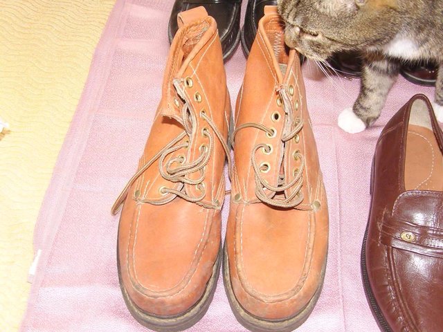 Image 2 of Selection of Leather Shoes and Workboots Size 6