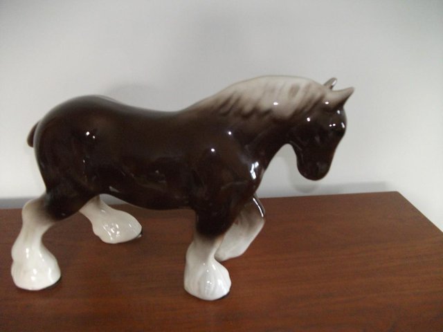 Preview of the first image of SHIRE HORSE.