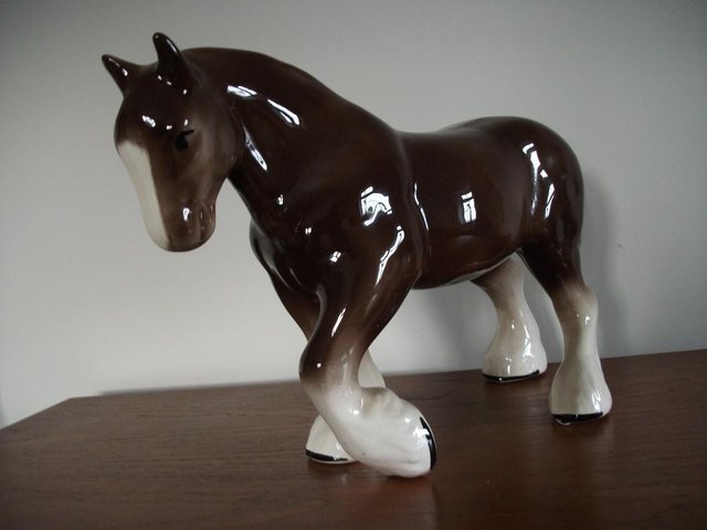 Image 2 of SHIRE HORSE