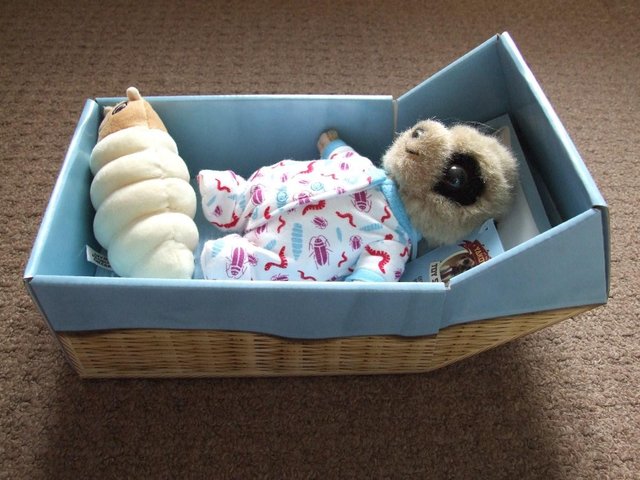 Preview of the first image of Baby Oleg Toy Brand new, Willing to post.