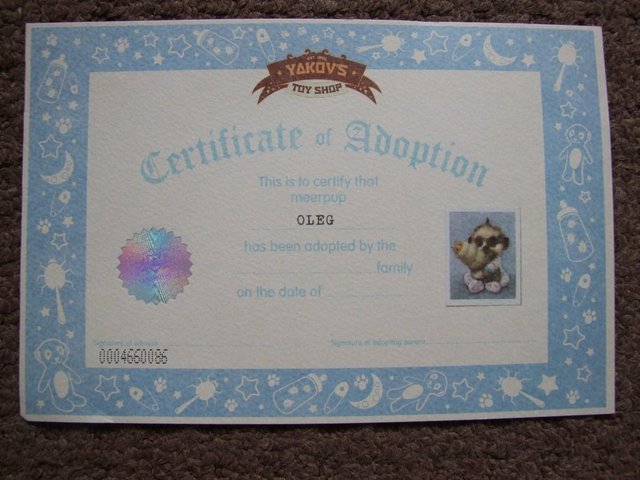 Image 2 of Baby Oleg Toy Brand new, Willing to post
