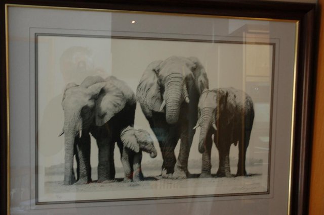 Preview of the first image of "elephants of etoshi" by david dancy woods.