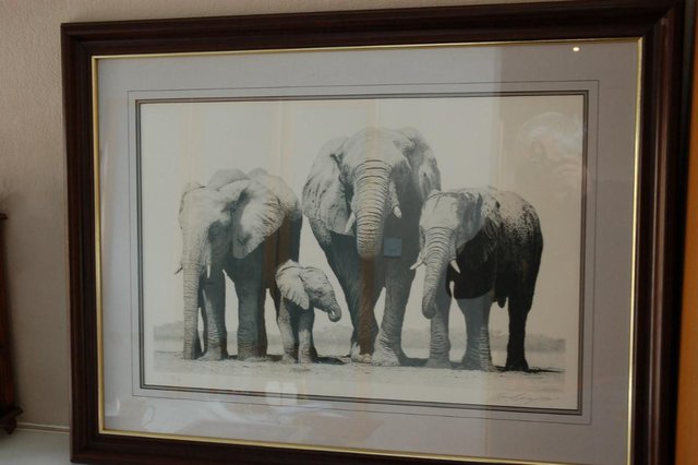 Image 2 of "elephants of etoshi" by david dancy woods