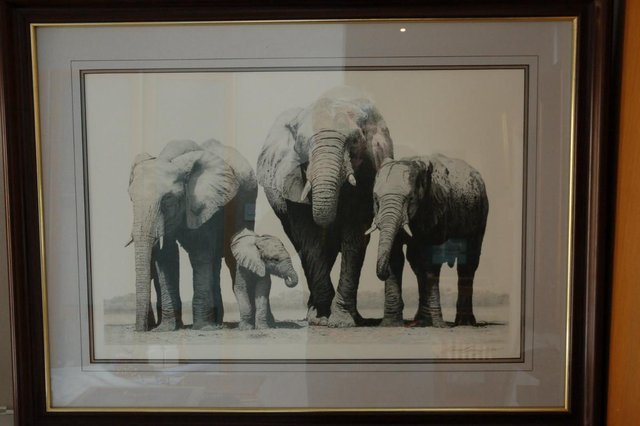 Image 3 of "elephants of etoshi" by david dancy woods