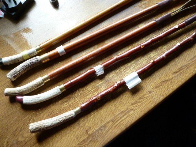Preview of the first image of Handcrafted Showcanes with straight antler/ leather ends.