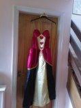 Preview of the first image of Queen of Hearts fancy dress.