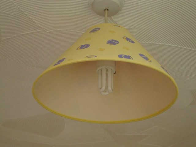 Preview of the first image of Winnie the pooh light shade and bin..