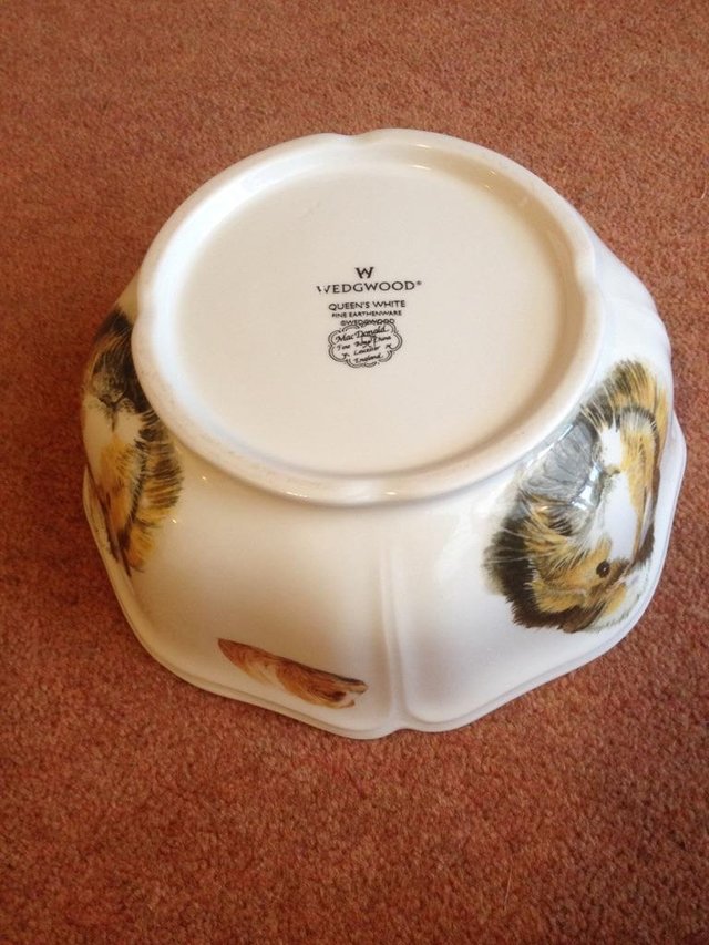 Preview of the first image of wedg wood guinea pig fruit bowl.